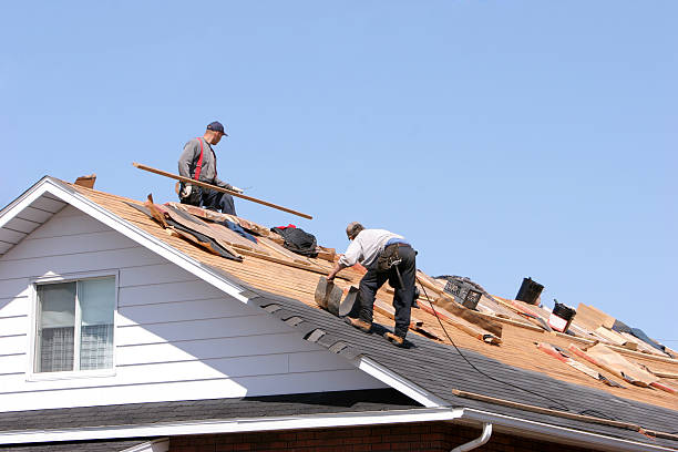 Best Roof Ventilation Installation  in Catlin, IL