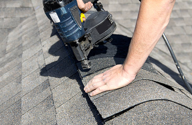 Best Skylight Installation and Repair  in Catlin, IL